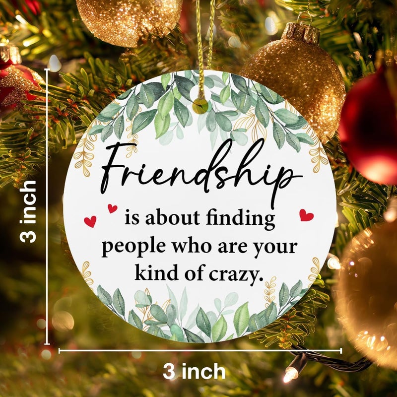ZOSAN Funny Friendship Ceramic Ornament, Unique Gifts for Friends, Friendship Gifts for Women Friend BFF Bestie Soul Sister, Friends Christmas Ornament - Image 3